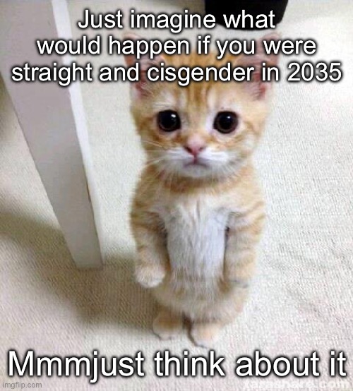 Just a thought | Just imagine what would happen if you were straight and cisgender in 2035; Mmmjust think about it | image tagged in memes,cute cat | made w/ Imgflip meme maker