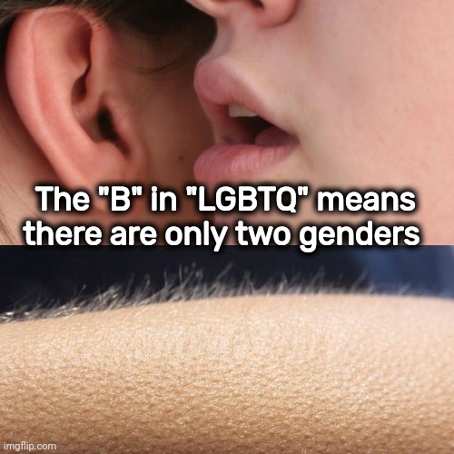 Whisper and Goosebumps | The "B" in "LGBTQ" means there are only two genders | image tagged in whisper and goosebumps | made w/ Imgflip meme maker