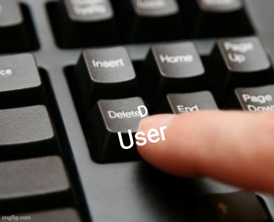 Delete | D User | image tagged in delete | made w/ Imgflip meme maker