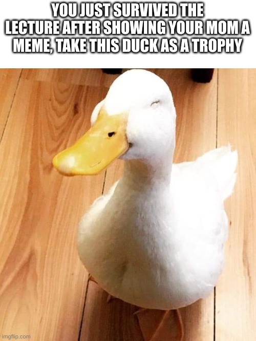 SMILE DUCK | YOU JUST SURVIVED THE LECTURE AFTER SHOWING YOUR MOM A MEME, TAKE THIS DUCK AS A TROPHY | image tagged in smile duck,memes | made w/ Imgflip meme maker