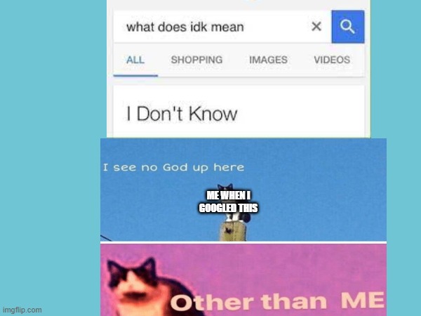 IDK | ME WHEN I GOOGLED THIS | image tagged in idk,hail pole cat | made w/ Imgflip meme maker
