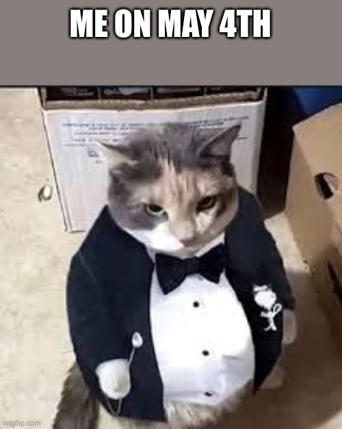 HAPPY STAR WARS DAY!!!!!!!!!!!!!!!!!!!! | ME ON MAY 4TH | image tagged in fat ass cat in a tux,star wars | made w/ Imgflip meme maker