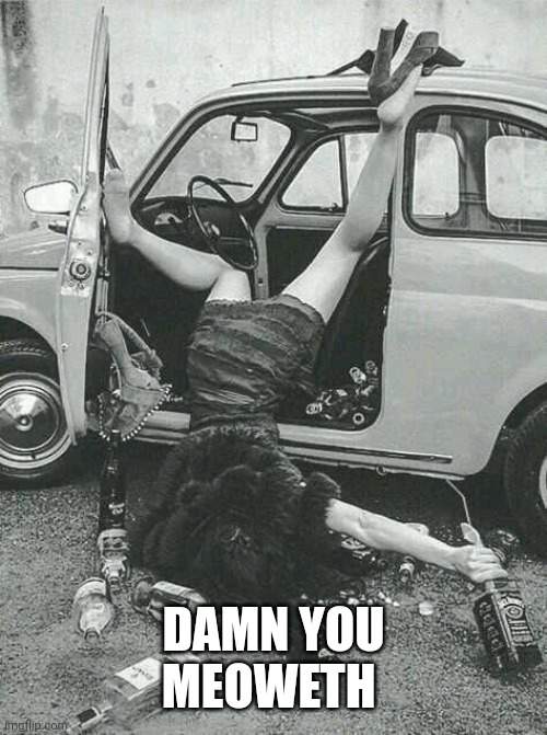 Drunk Girl  | DAMN YOU
MEOWETH | image tagged in drunk girl | made w/ Imgflip meme maker