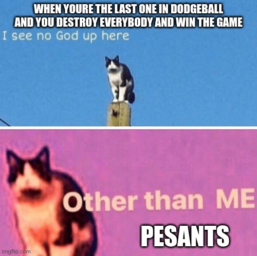 Hail pole cat | WHEN YOURE THE LAST ONE IN DODGEBALL AND YOU DESTROY EVERYBODY AND WIN THE GAME; PEASANTS | image tagged in hail pole cat,dodgeball | made w/ Imgflip meme maker