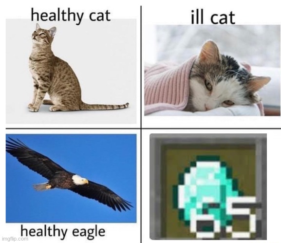 healthy cat ill cat | image tagged in healthy cat ill cat,minecraft | made w/ Imgflip meme maker