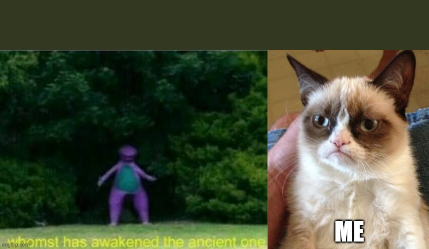 ME | image tagged in whomst has awakened the ancient one,memes,grumpy cat | made w/ Imgflip meme maker