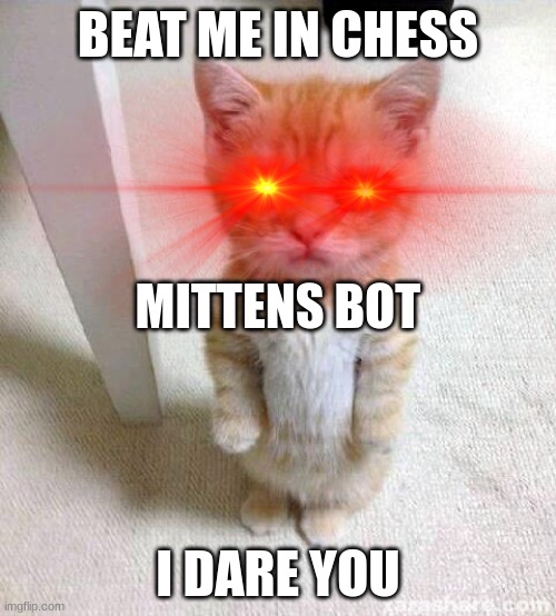 Mittens Bot on Chess.com | BEAT ME IN CHESS; MITTENS BOT; I DARE YOU | image tagged in memes,cute cat | made w/ Imgflip meme maker