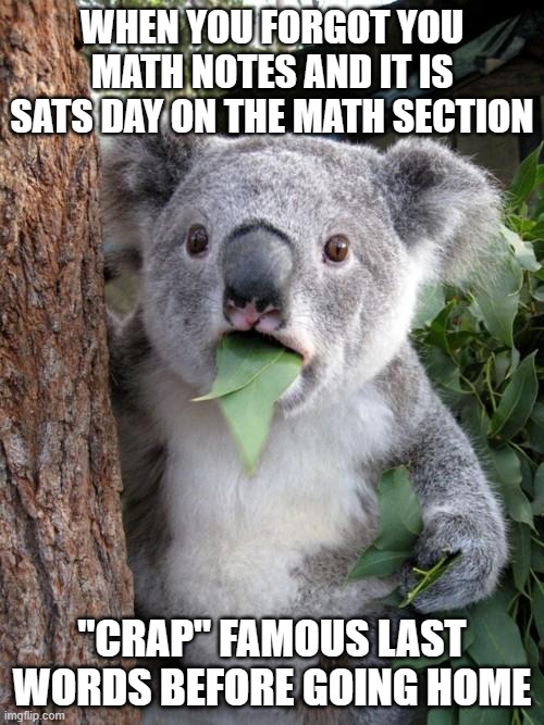 Koala | WHEN YOU FORGOT YOU MATH NOTES AND IT IS SATS DAY ON THE MATH SECTION; "CRAP" FAMOUS LAST WORDS BEFORE GOING HOME | image tagged in memes,surprised koala | made w/ Imgflip meme maker