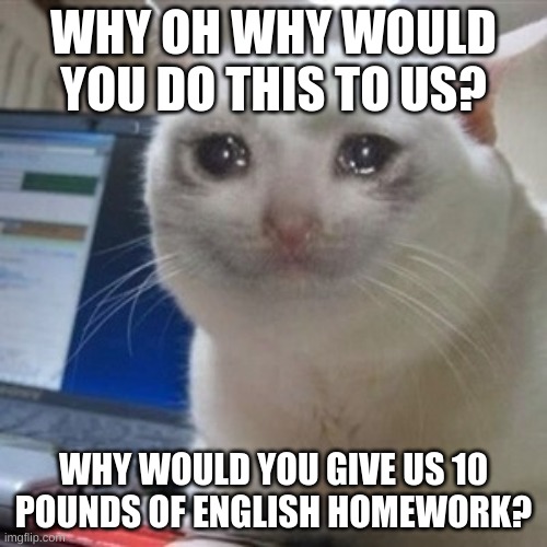 Crying cat | WHY OH WHY WOULD YOU DO THIS TO US? WHY WOULD YOU GIVE US 10 POUNDS OF ENGLISH HOMEWORK? | image tagged in crying cat | made w/ Imgflip meme maker