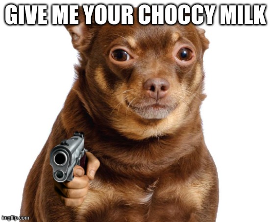 lol | GIVE ME YOUR CHOCCY MILK | image tagged in lmao,dog,russian doge | made w/ Imgflip meme maker