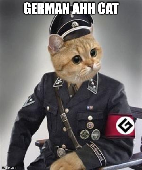 Grammar Nazi Cat | GERMAN AHH CAT | image tagged in grammar nazi cat | made w/ Imgflip meme maker