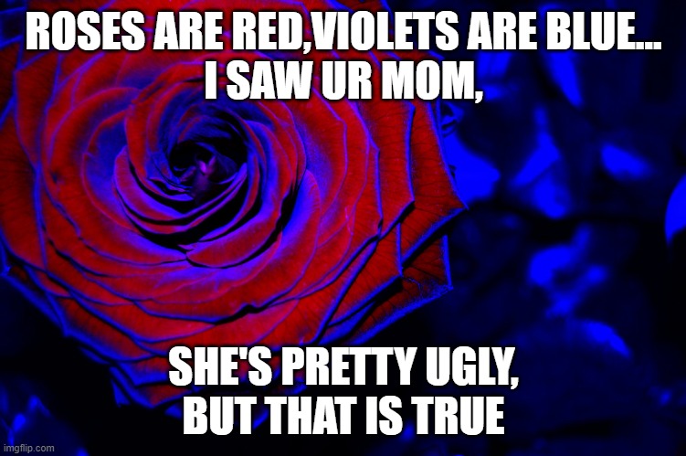 roses are red, violets are blue, | ROSES ARE RED,VIOLETS ARE BLUE...
I SAW UR MOM, SHE'S PRETTY UGLY,
BUT THAT IS TRUE | image tagged in roses are red violets are blue | made w/ Imgflip meme maker
