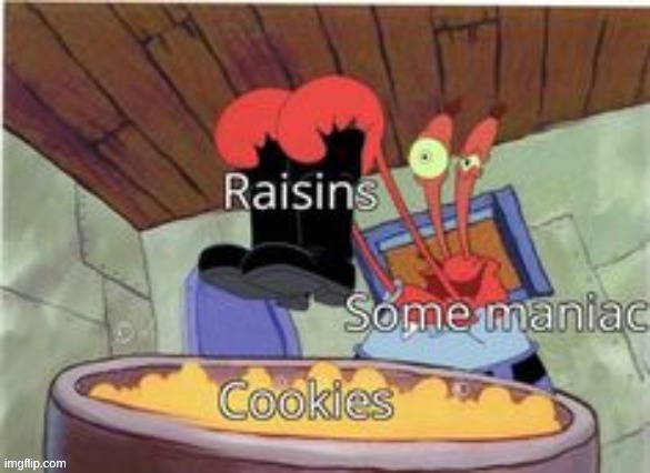 i don't care if i have raisons in cookies, just don't prefer it | made w/ Imgflip meme maker