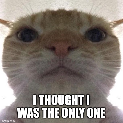 Staring Cat/Gusic | I THOUGHT I WAS THE ONLY ONE | image tagged in staring cat/gusic | made w/ Imgflip meme maker