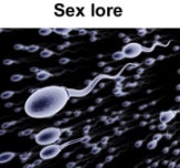 Sex lore Blank Meme Template