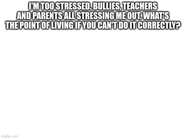 I'M TOO STRESSED. BULLIES, TEACHERS AND PARENTS ALL STRESSING ME OUT. WHAT'S THE POINT OF LIVING IF YOU CAN'T DO IT CORRECTLY? | made w/ Imgflip meme maker