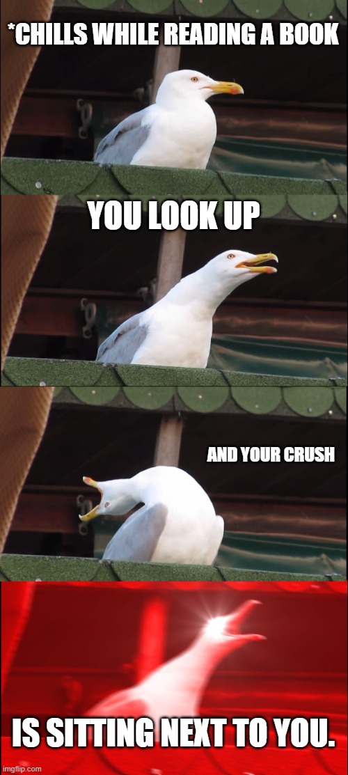 Inhaling Seagull | *CHILLS WHILE READING A BOOK; YOU LOOK UP; AND YOUR CRUSH; IS SITTING NEXT TO YOU. | image tagged in memes,inhaling seagull | made w/ Imgflip meme maker