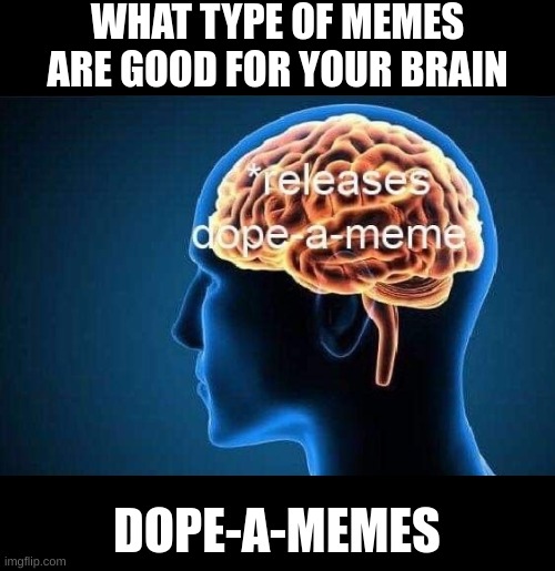 WHAT TYPE OF MEMES ARE GOOD FOR YOUR BRAIN; DOPE-A-MEMES | image tagged in bad pun | made w/ Imgflip meme maker