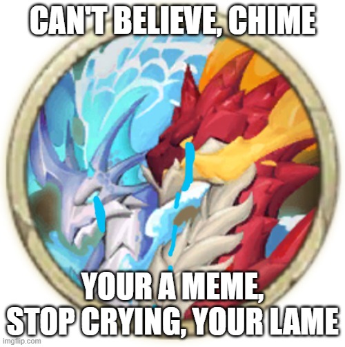 Chime is lame | CAN'T BELIEVE, CHIME; YOUR A MEME, STOP CRYING, YOUR LAME | image tagged in funny memes | made w/ Imgflip meme maker