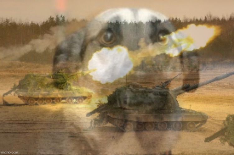 Dog with Ukrainian war PTSD | image tagged in dog with ukrainian war ptsd | made w/ Imgflip meme maker