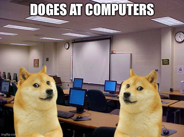 Doges in middle school computer lab | DOGES AT COMPUTERS | image tagged in doges in middle school computer lab | made w/ Imgflip meme maker