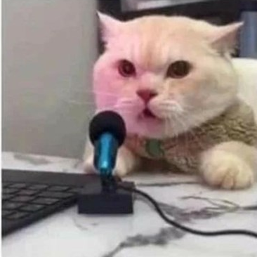 High Quality CAT AND MICROPHONE Blank Meme Template