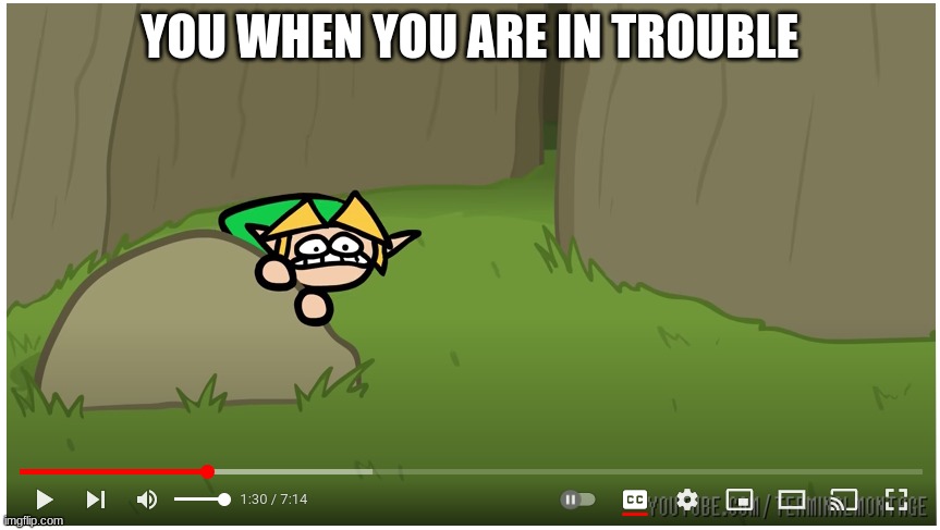 When You Get In Trouble | YOU WHEN YOU ARE IN TROUBLE | image tagged in legend of zelda | made w/ Imgflip meme maker