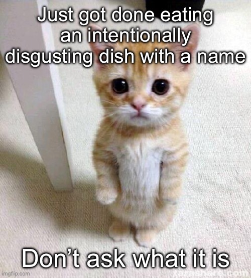 Pls | Just got done eating an intentionally disgusting dish with a name; Don’t ask what it is | image tagged in memes,cute cat | made w/ Imgflip meme maker