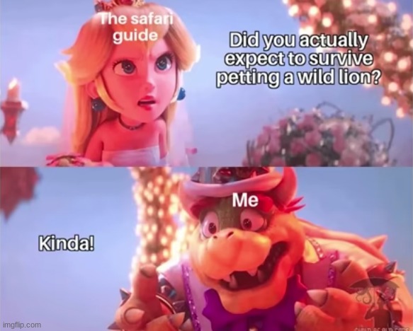 image tagged in memes | made w/ Imgflip meme maker