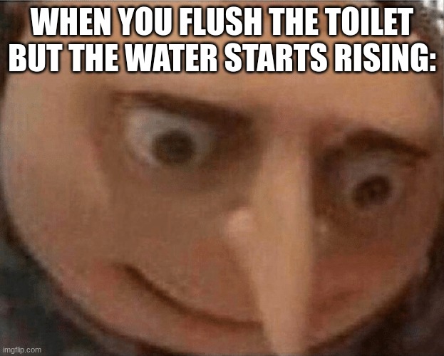 uh oh Gru | WHEN YOU FLUSH THE TOILET BUT THE WATER STARTS RISING: | image tagged in uh oh gru | made w/ Imgflip meme maker