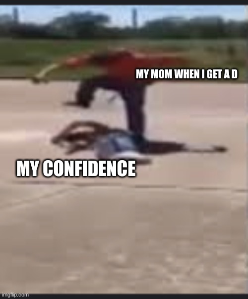Fair Fight | MY MOM WHEN I GET A D; MY CONFIDENCE | image tagged in fight | made w/ Imgflip meme maker