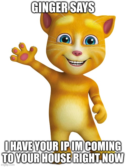 ginger is a pain | GINGER SAYS; I HAVE YOUR IP IM COMING TO YOUR HOUSE RIGHT NOW | image tagged in pain ginger | made w/ Imgflip meme maker