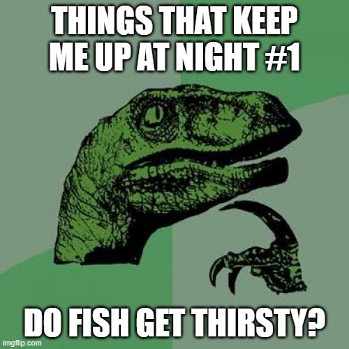 Things That Keep Me Up at Night #1 | THINGS THAT KEEP ME UP AT NIGHT #1; DO FISH GET THIRSTY? | image tagged in memes,philosoraptor | made w/ Imgflip meme maker