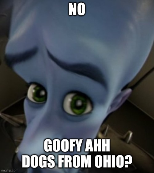 mega ass mind | NO; GOOFY AHH DOGS FROM OHIO? | image tagged in megamind sad face,megamind no bitches | made w/ Imgflip meme maker