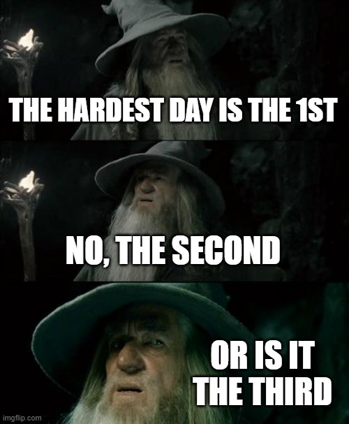 Confused Gandalf Meme | THE HARDEST DAY IS THE 1ST; NO, THE SECOND; OR IS IT THE THIRD | image tagged in memes,confused gandalf | made w/ Imgflip meme maker
