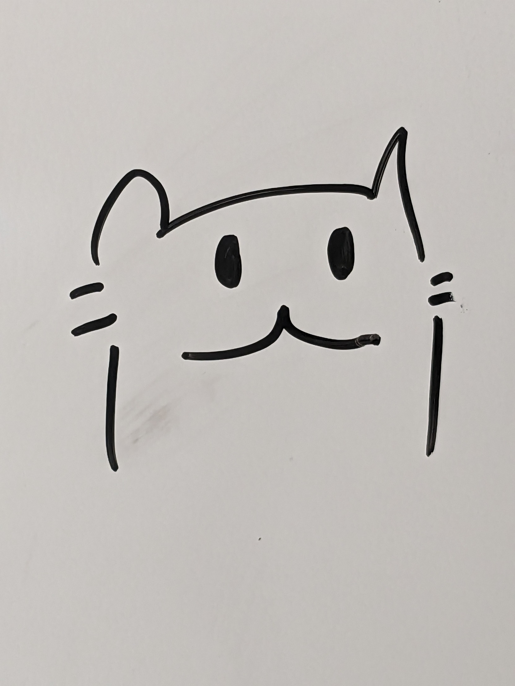 Happy cat drawing Blank Meme Template