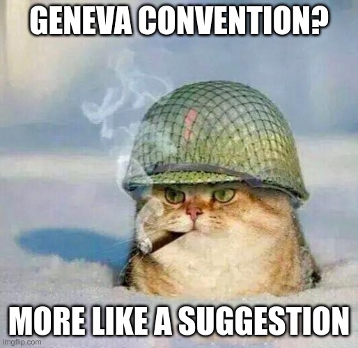 title | GENEVA CONVENTION? MORE LIKE A SUGGESTION | image tagged in war cat | made w/ Imgflip meme maker