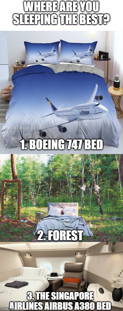 WHERE ARE YOU SLEEPING THE BEST? 1. BOEING 747 BED; 2. FOREST; 3. THE SINGAPORE AIRLINES AIRBUS A380 BED | made w/ Imgflip meme maker