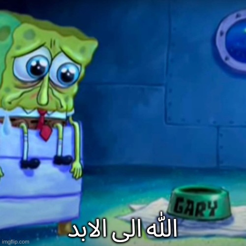 Gary Come Home | الله الى الابد | image tagged in gary come home | made w/ Imgflip meme maker