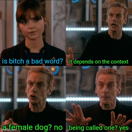 i swear | is bitch a bad word? it depends on the context; being called one? yes; a female dog? no | image tagged in is four a lot | made w/ Imgflip meme maker