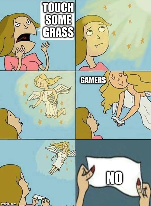 true | TOUCH SOME GRASS; GAMERS; NO | image tagged in gamers | made w/ Imgflip meme maker