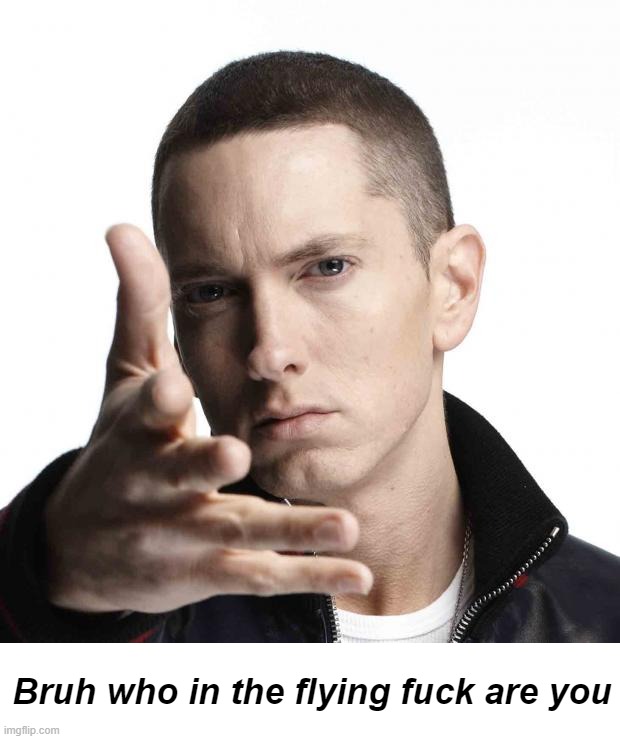 Eminem video game logic | Bruh who in the flying fuck are you | image tagged in eminem video game logic | made w/ Imgflip meme maker