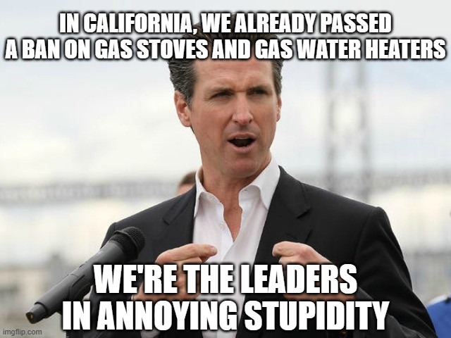 gavin newsome | IN CALIFORNIA, WE ALREADY PASSED A BAN ON GAS STOVES AND GAS WATER HEATERS WE'RE THE LEADERS IN ANNOYING STUPIDITY | image tagged in gavin newsome | made w/ Imgflip meme maker