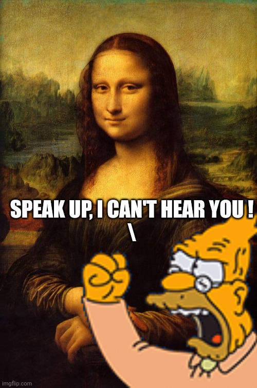SPEAK UP, I CAN'T HEAR YOU !
\ | made w/ Imgflip meme maker
