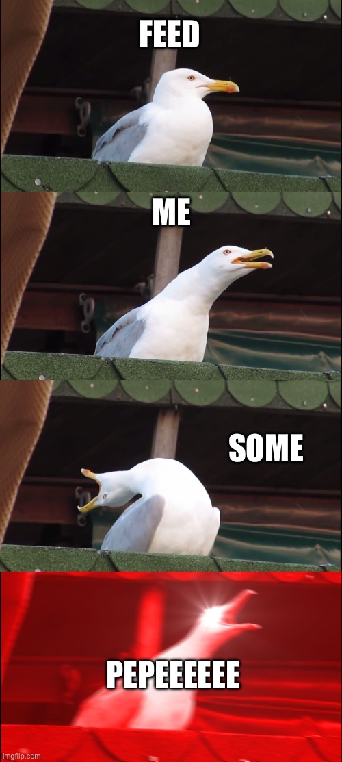 $STEVE is hungry | FEED; ME; SOME; PEPEEEEEE | image tagged in memes,inhaling seagull | made w/ Imgflip meme maker