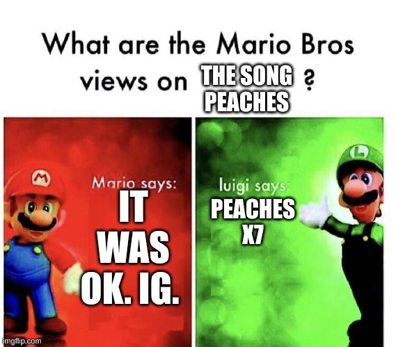 PEACHES | THE SONG
PEACHES; PEACHES X7; IT WAS OK. IG. | image tagged in mario bros views | made w/ Imgflip meme maker