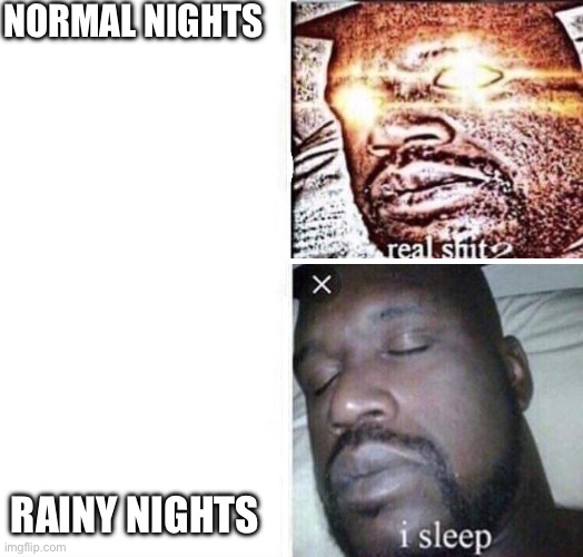 i sleep reverse | NORMAL NIGHTS RAINY NIGHTS | image tagged in i sleep reverse | made w/ Imgflip meme maker