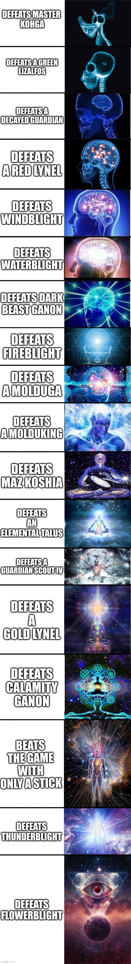 if there was a 19th spot, it would be a red bokoblin | DEFEATS MASTER 
KOHGA; DEFEATS A GREEN
LIZALFOS; DEFEATS A DECAYED GUARDIAN; DEFEATS A RED LYNEL; DEFEATS WINDBLIGHT; DEFEATS WATERBLIGHT; DEFEATS DARK BEAST GANON; DEFEATS FIREBLIGHT; DEFEATS A MOLDUGA; DEFEATS A MOLDUKING; DEFEATS MAZ KOSHIA; DEFEATS AN ELEMENTAL TALUS; DEFEATS A GUARDIAN SCOUT IV; DEFEATS A GOLD LYNEL; DEFEATS CALAMITY GANON; BEATS THE GAME WITH ONLY A STICK; DEFEATS THUNDERBLIGHT; DEFEATS FLOWERBLIGHT | image tagged in expanding brain 9001 | made w/ Imgflip meme maker