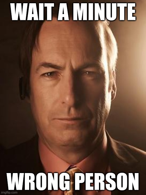 Saul Goodman | WAIT A MINUTE; WRONG PERSON | image tagged in saul goodman | made w/ Imgflip meme maker