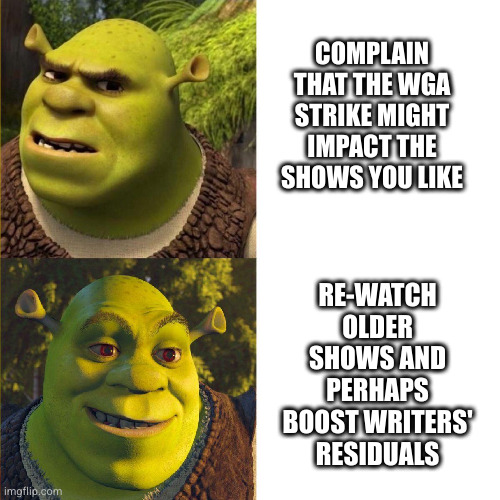 Solidarity with the WGA writers' strike | COMPLAIN THAT THE WGA STRIKE MIGHT IMPACT THE SHOWS YOU LIKE; RE-WATCH OLDER SHOWS AND PERHAPS BOOST WRITERS' RESIDUALS | image tagged in shrek no - yes drake format | made w/ Imgflip meme maker